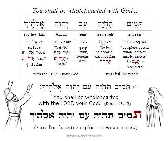 Deuteronomy 18:13  Hebrew Lesson