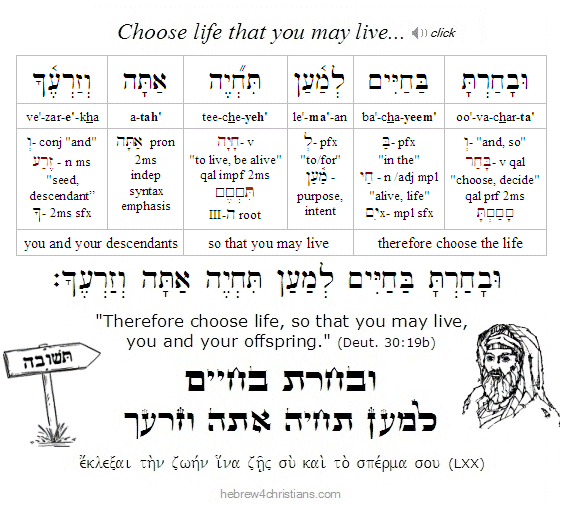 Deut. 30:19 Hebrew lesson