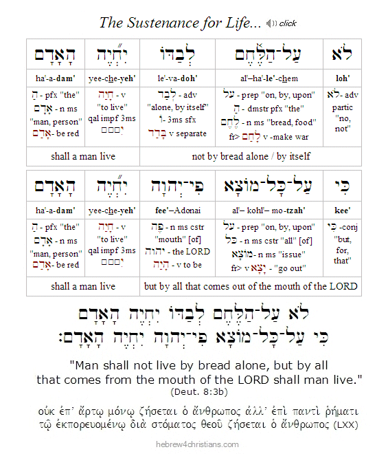 Deut. 8:3b Hebrew lesson