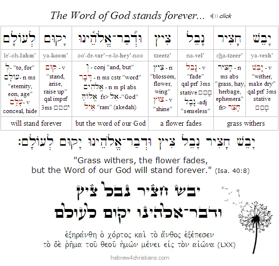 Isaiah 40:8 Hebrew Lesson