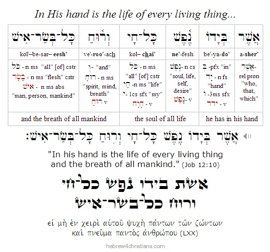 Job 12:10 Hebrew Lesson