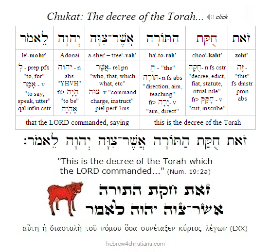 Numbers 19:2a Hebrew Analysis Chukat