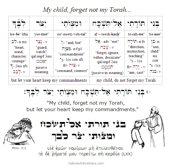 Proverbs 3:1 Hebrew Lesson