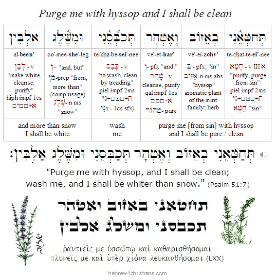 Psalm 51L7 Hebrew lesson