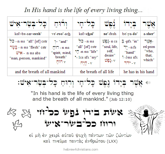 Job 12:10 Hebrew Lesson