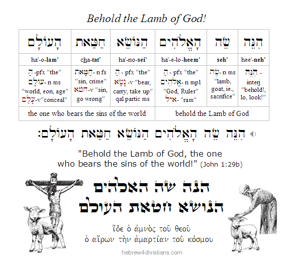 John 1:29 Hebrew