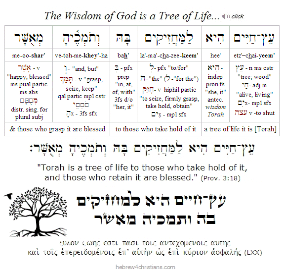 Psalm 92:12 Hebrew lesson