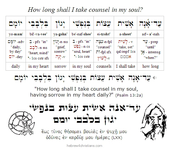 Psalm 13:2a Hebrew lesson