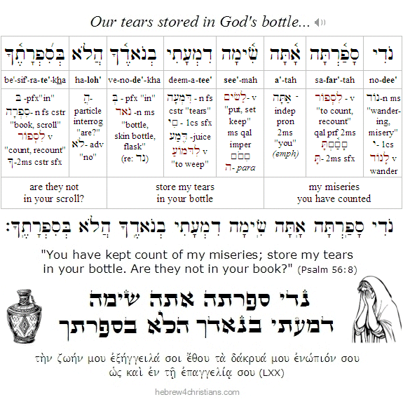 Psalm 56:8 Hebrew Lesson