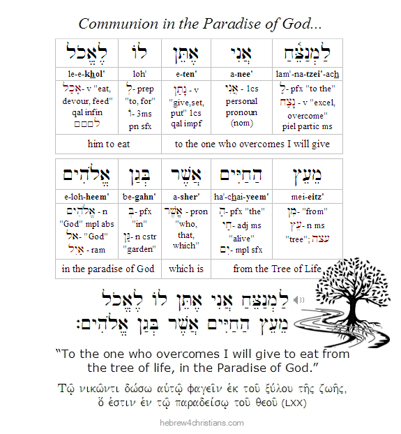 Rev. 2:7 Hebrew Lesson