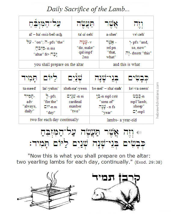 Exodus 29:38 Hebrew Lesson