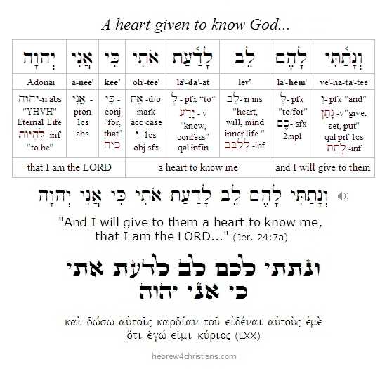 Jer. 24:7a Hebrew Lesson