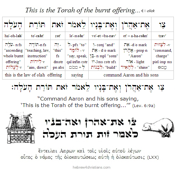 Leviticus 6:9a Hebrew Lesson