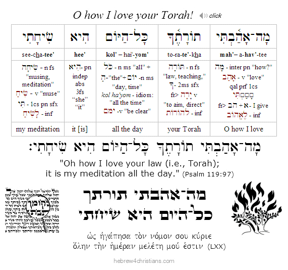 Psalm 119:97 Hebrew Lesson - Podcast