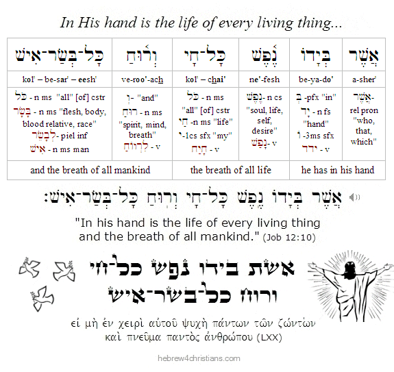 Job 12:10 Hebrew Lesson