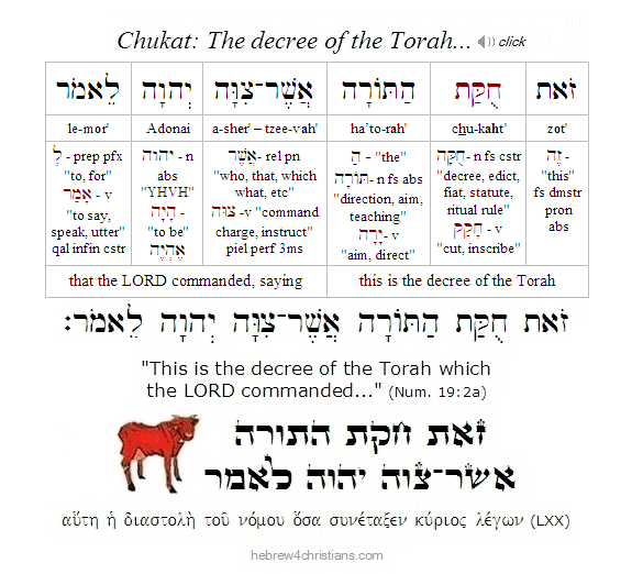 Numbers 19:2 Hebrew Analysis Chukat