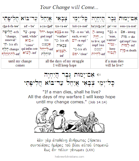 Job 14:14 Hebrew