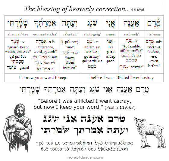 Hebrew for Christians Current Site Updates