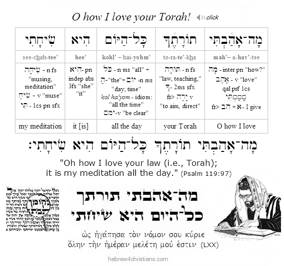 Psalm 119:97 Hebrew Lesson