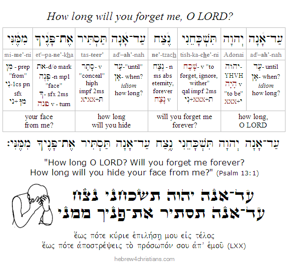 Psalm 13:1 Hebrew Lesson