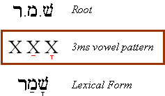 lexical form