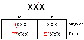 Qal Active Participle Paradigm