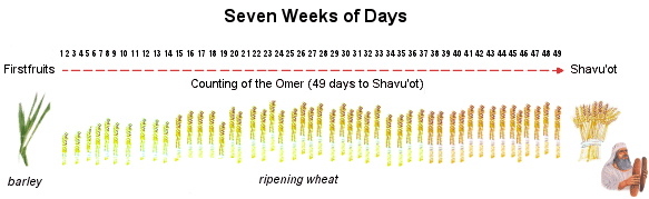 Seven Weeks of Days