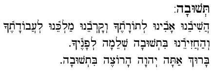Teshuvah - Blessing Five of the Amidah