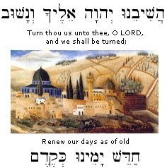 פרשת השבוע - Torah Readings for this week