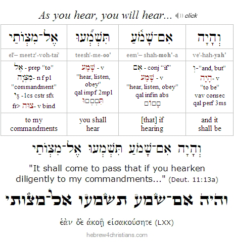 Deut. 11:33a Hebrew Lesson