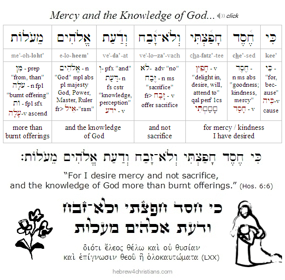 Hosea 6:6 Hebrew lesson