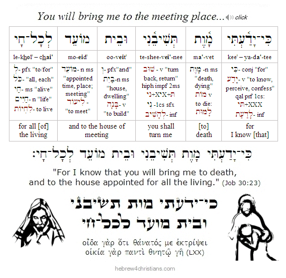 Job 30:23 Hebrew for Christians