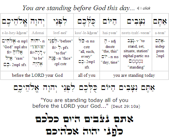 נצבים - Parashat Nitzavim - Quick Summary