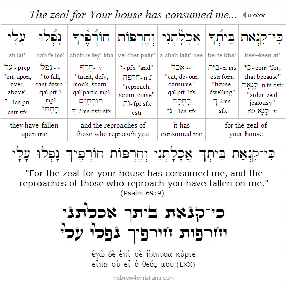 Psalm 69:9 Hebrew Analysis