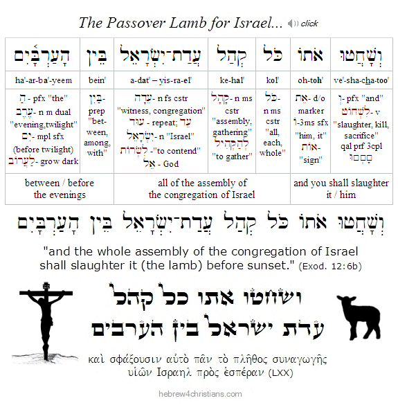 Exodus 12:6 Hebrew Lesson