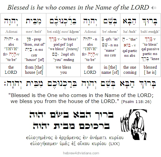 פרשת השבוע - Torah Readings for this week