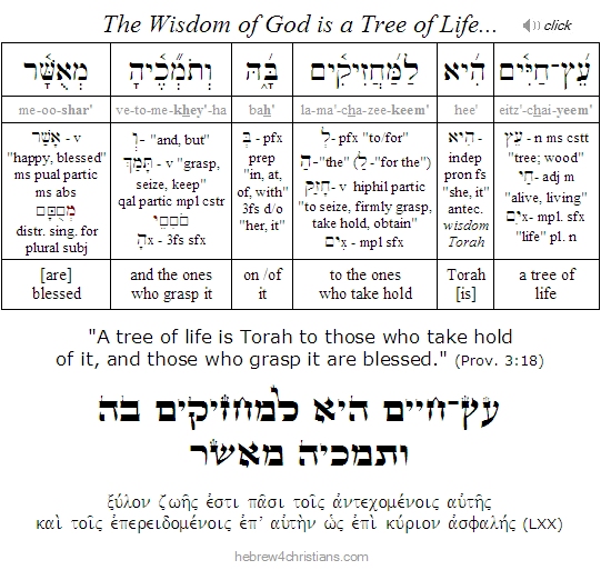 A Tree of Life is Torah - Hebrew for Christians