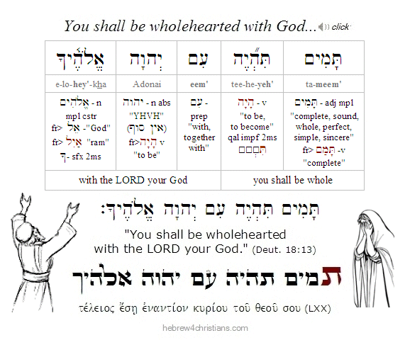 Deut 18:13 Hebrew Lesson