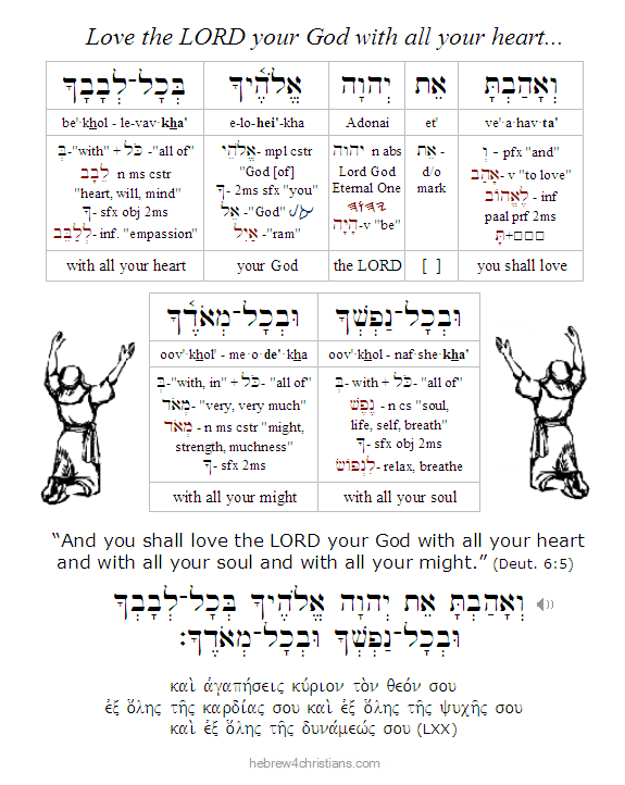 Ve'ahavta Dt. 6:5 lesson