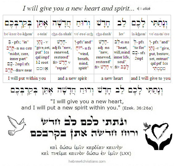 Ezek 36:26a Hebrew Lesson