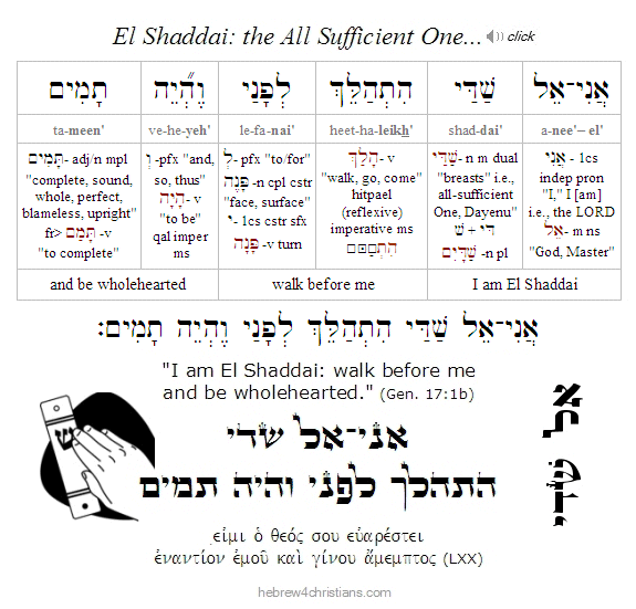 Genesis 17:1 Hebrew Lesson