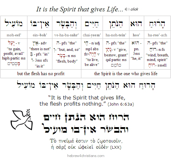 John 6:63a Hebrew lesson