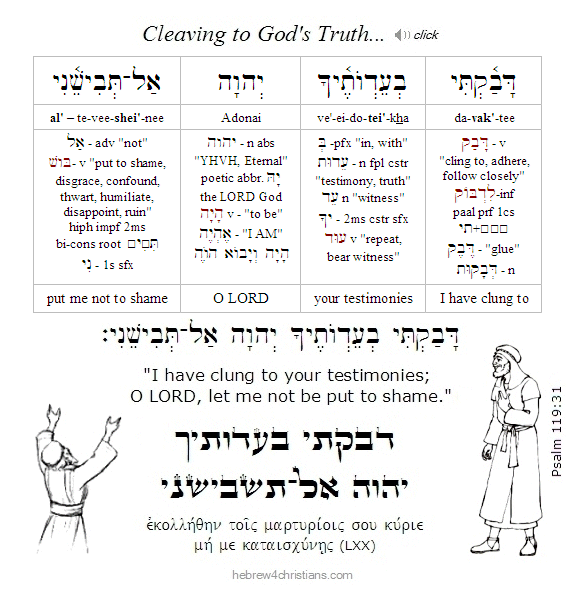 Psalm 119:31 Hebrew lesson